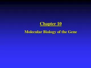 Chapter 10 Molecular Biology of the Gene