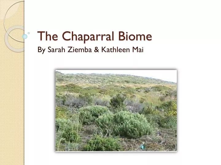 the chaparral biome