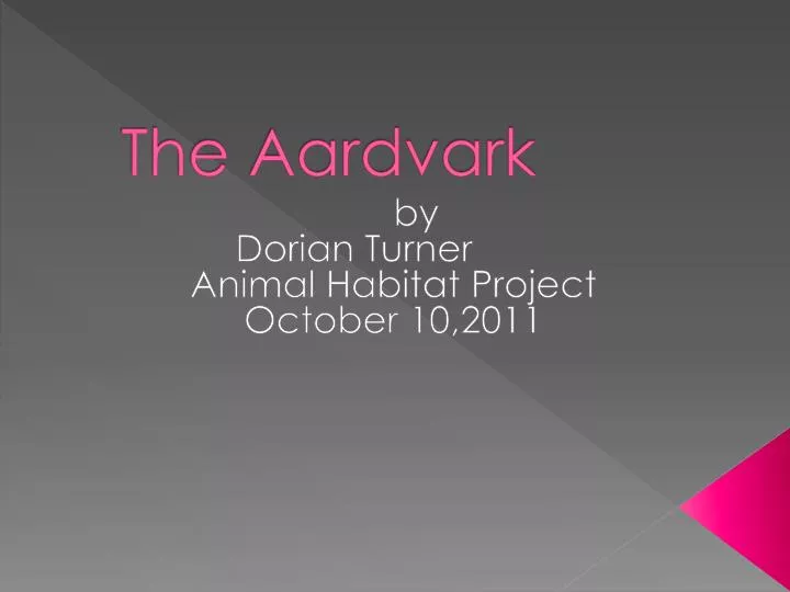 the aardvark