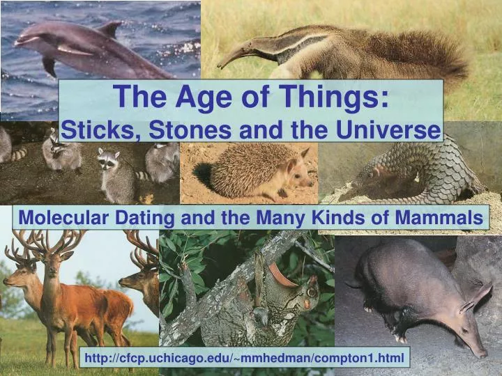 the age of things sticks stones and the universe