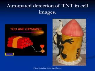 Automated detection of TNT in cell images.