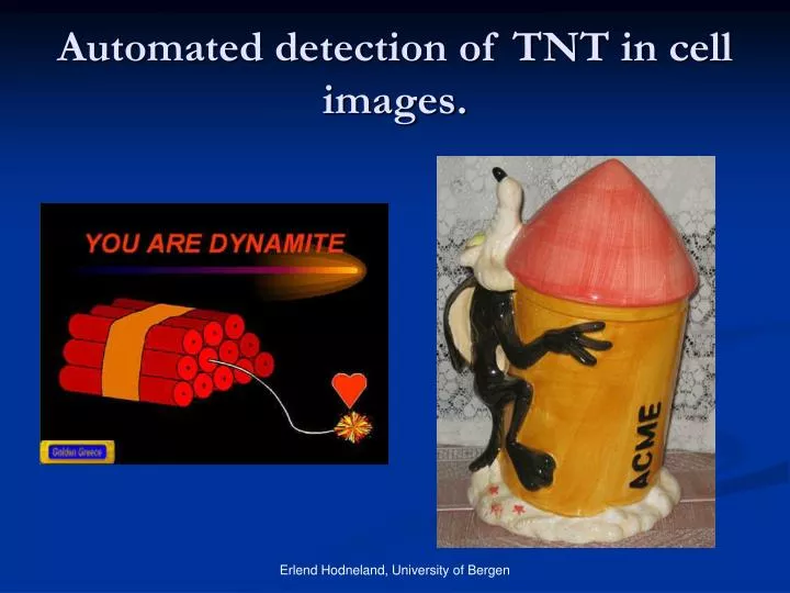 automated detection of tnt in cell images