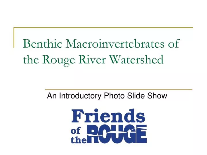 benthic macroinvertebrates of the rouge river watershed