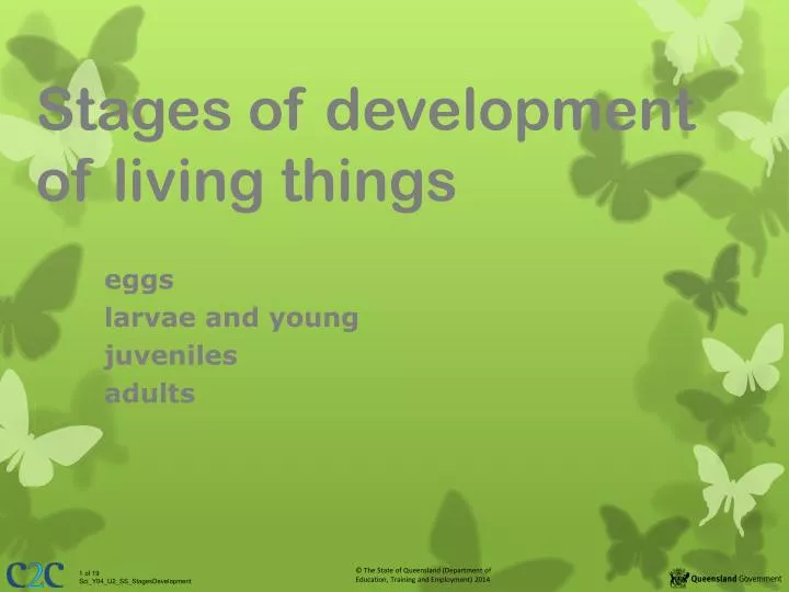 stages of development of living things