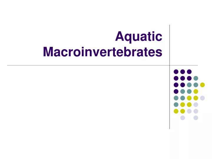 aquatic macroinvertebrates