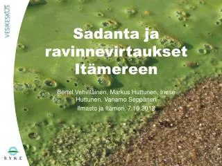 sadanta ja ravinnevirtaukset it mereen