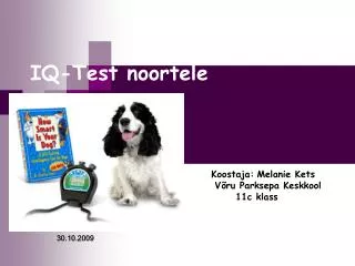 iq test noortele