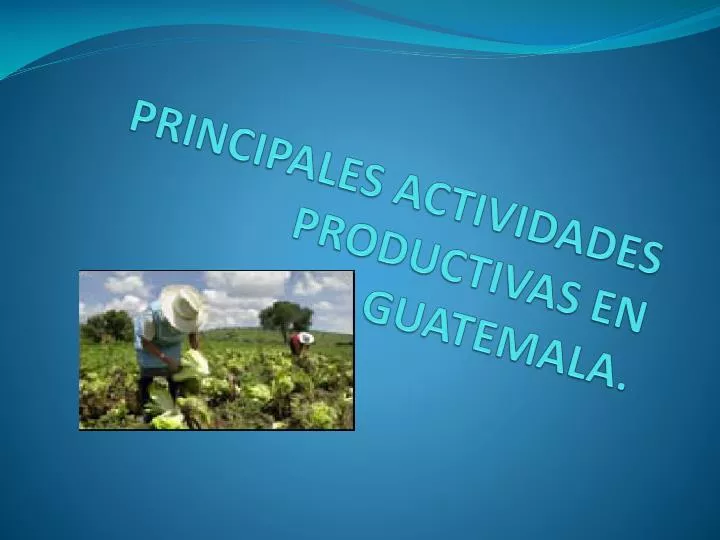 principales actividades productivas en guatemala