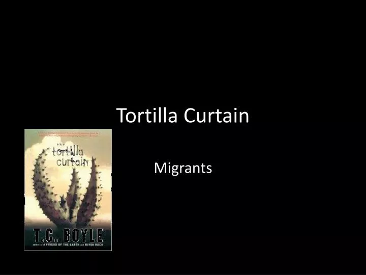 tortilla curtain