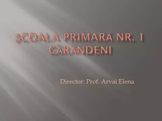 coala primar nr 1 c r ndeni