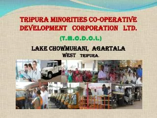Tripura Minorities Co-Operative Development Corporation Ltd. (T.M.C.D.C.L.)