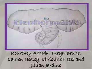 Kourtney Arruda, Taryn Brune , Lauren Healey, Christine Hess, and Jillian Jardine