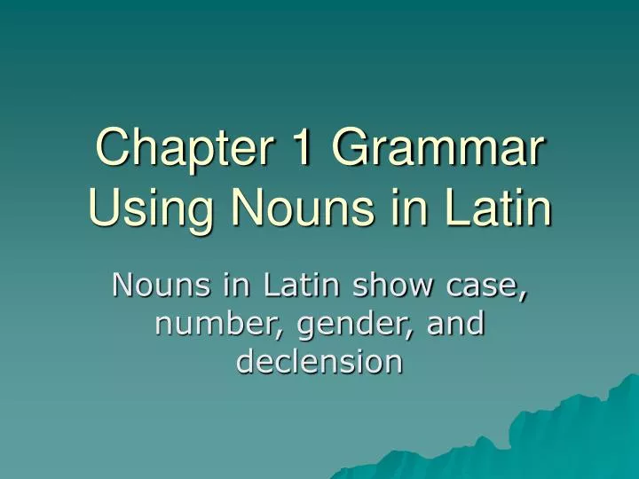 chapter 1 grammar using nouns in latin