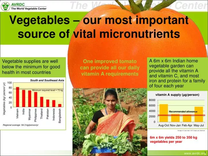 vegetables our most important source of vital micronutrients