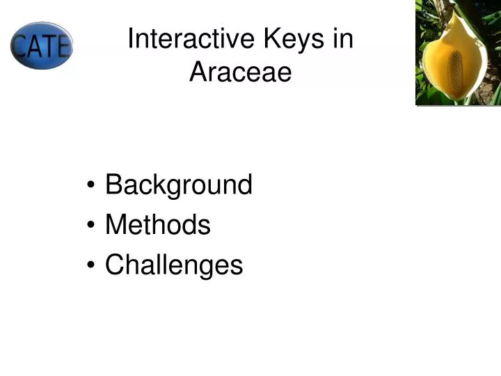 interactive keys in araceae