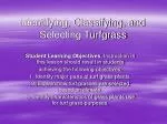 Identifying, Classifying, and Selecting Turfgrass - slide 1