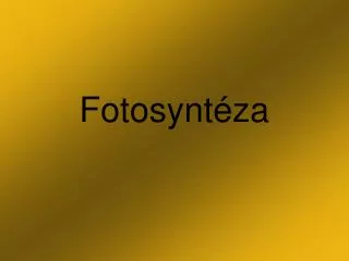 fotosynt za