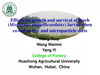 Wang Youji Wang Weimin Yang Yi College of Fishery Huazhong Agricultural University