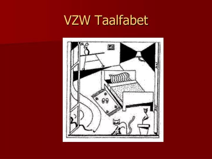 vzw taalfabet