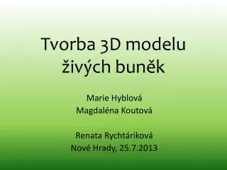 tvorba 3d modelu iv ch bun k