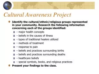 Cultural Awareness Project
