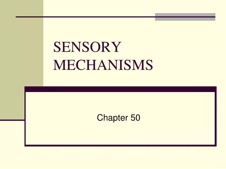 sensory mechanisms