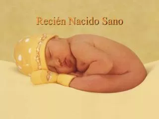 reci n nacido sano