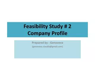 Feasibility Study # 2 Company Profile