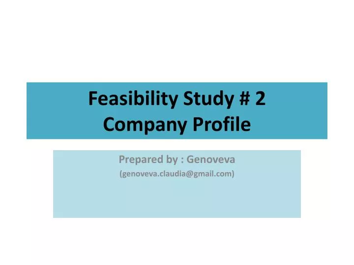 feasibility study 2 company profile