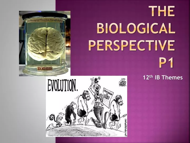 the biological perspective p1
