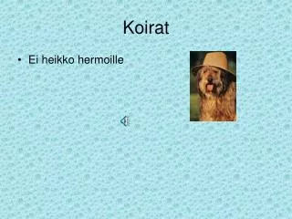 koirat