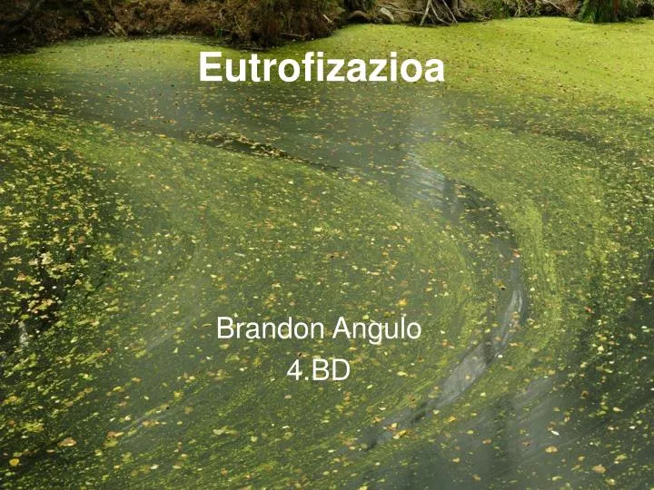 eutrofizazioa