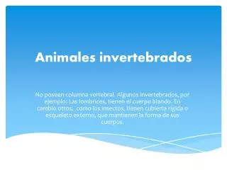 animales invertebrados