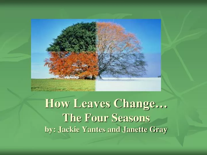 how leaves change the four seasons by jackie yantes and janette gray