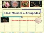 Filos: Molusca e Artrópodes - slide 1