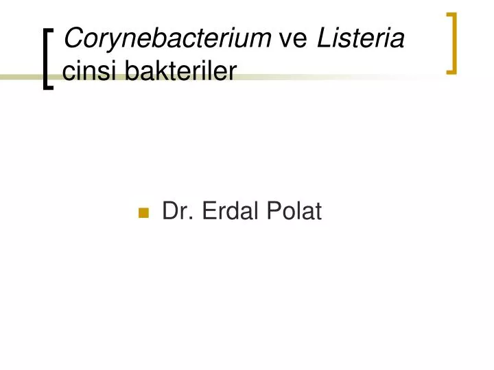 corynebacterium ve listeria cinsi bakteriler