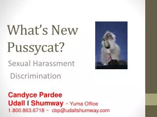 what s new pussycat