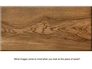 What images come to mind when you look at this piece of wood?