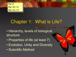 Chapter 1: What is Life?