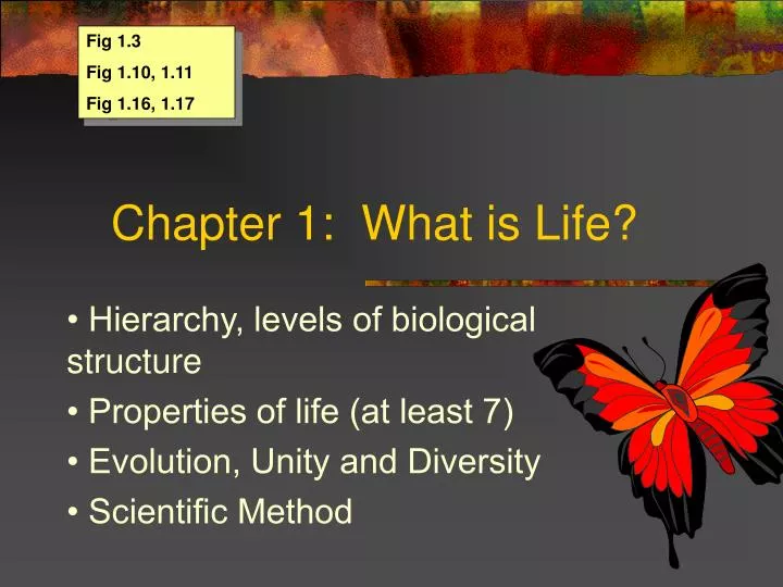 chapter 1 what is life
