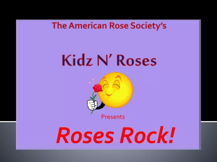 presents roses rock