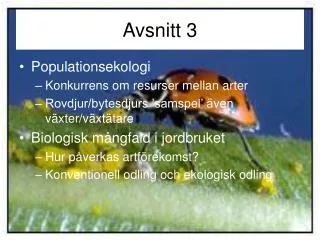 avsnitt 3