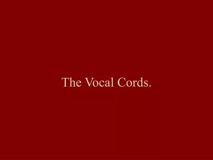 the vocal cords
