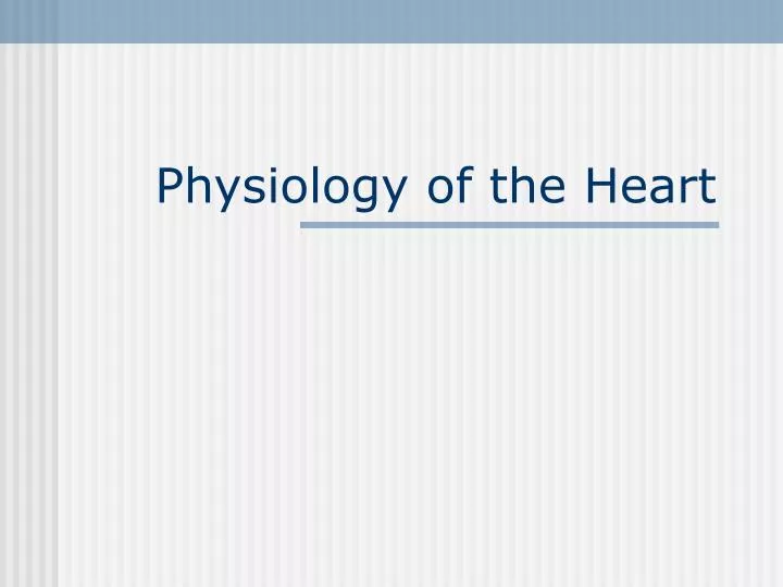 physiology of the heart