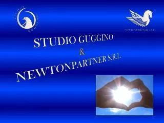 studio guggino newtonpartner s r l