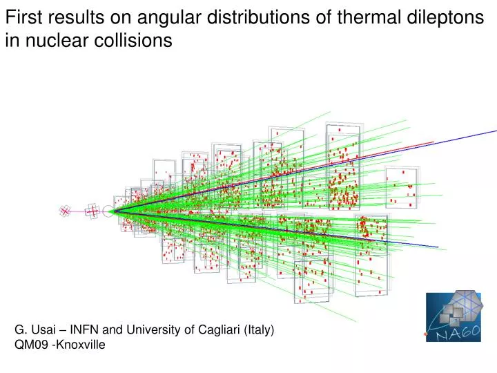 first results on angular distributions of thermal dileptons in nuclear collisions