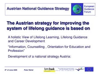 The Austrian strategy for improving the system of lifelong guidance is based on
