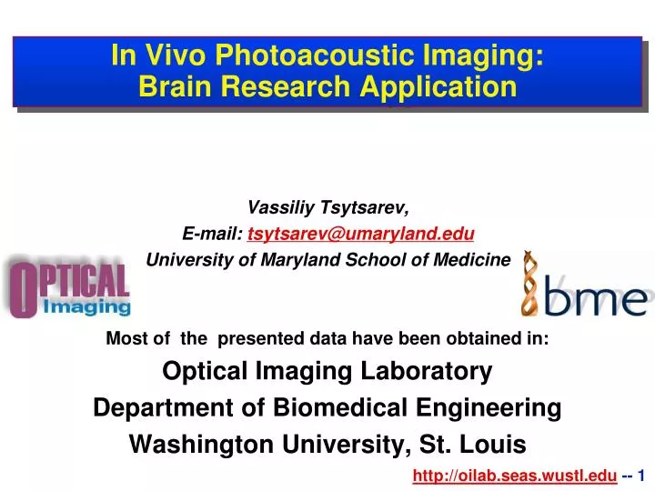 in vivo photoacoustic imaging brain research application