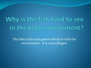 Why is the fish hard to see in the kelp environment?