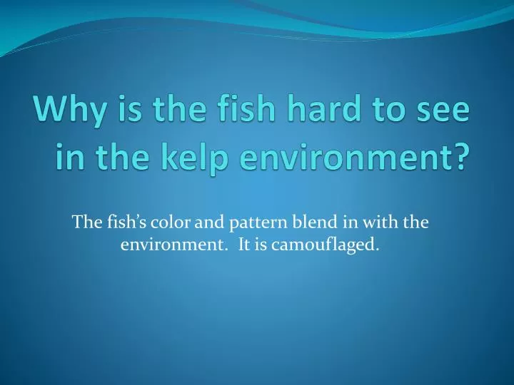 why is the fish hard to see in the kelp environment